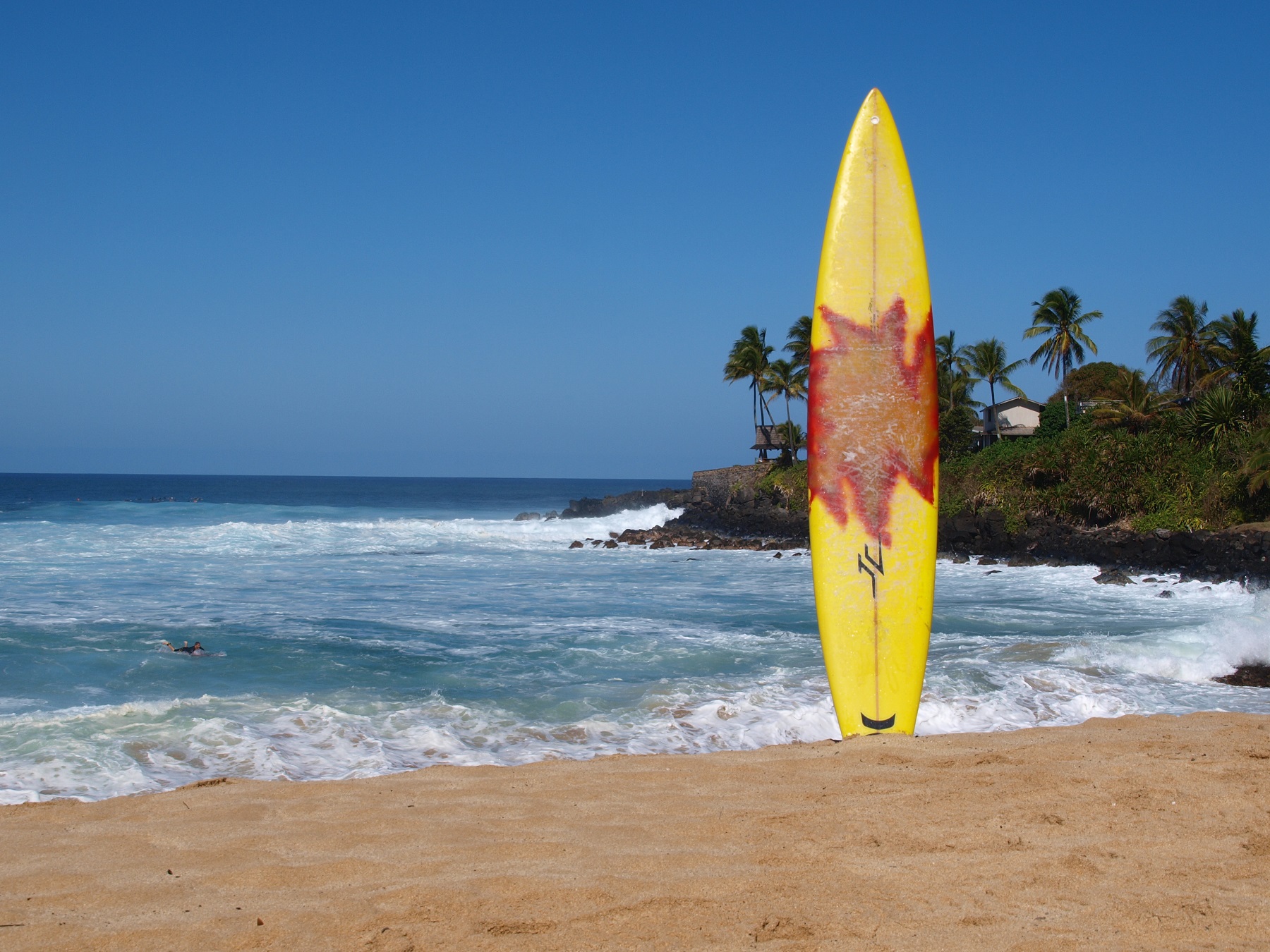 Surf Lessons Hawaii North Shore Beach Boyz